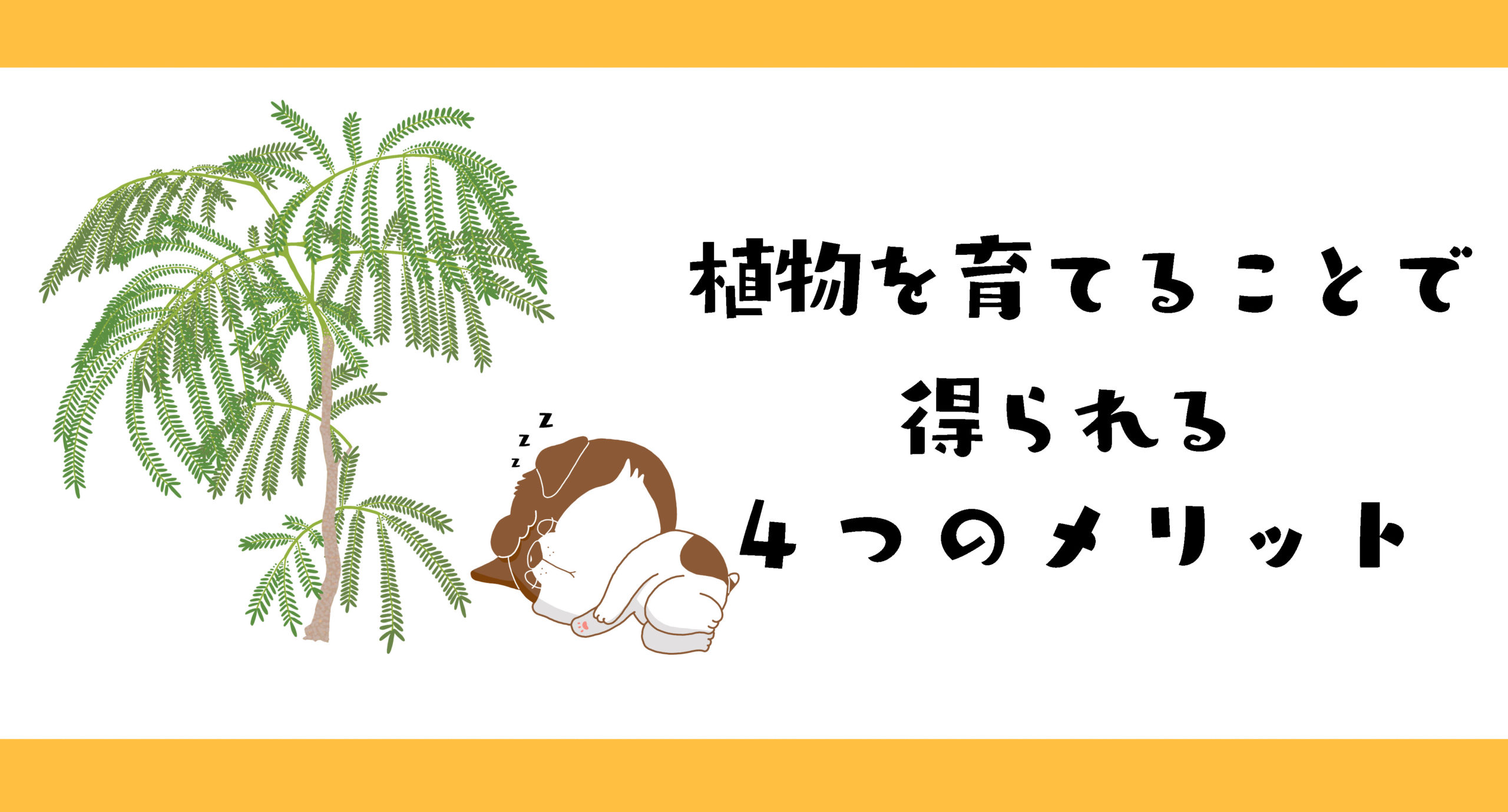 初心者向け 植物を育てることで得られる４つのメリット イヌアイロン