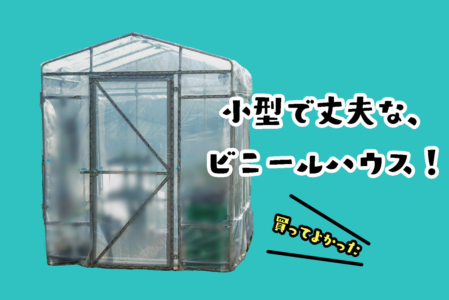 小型で丈夫なビニールハウスを庭に建てよう 東都興業製をレビュー イヌアイロン